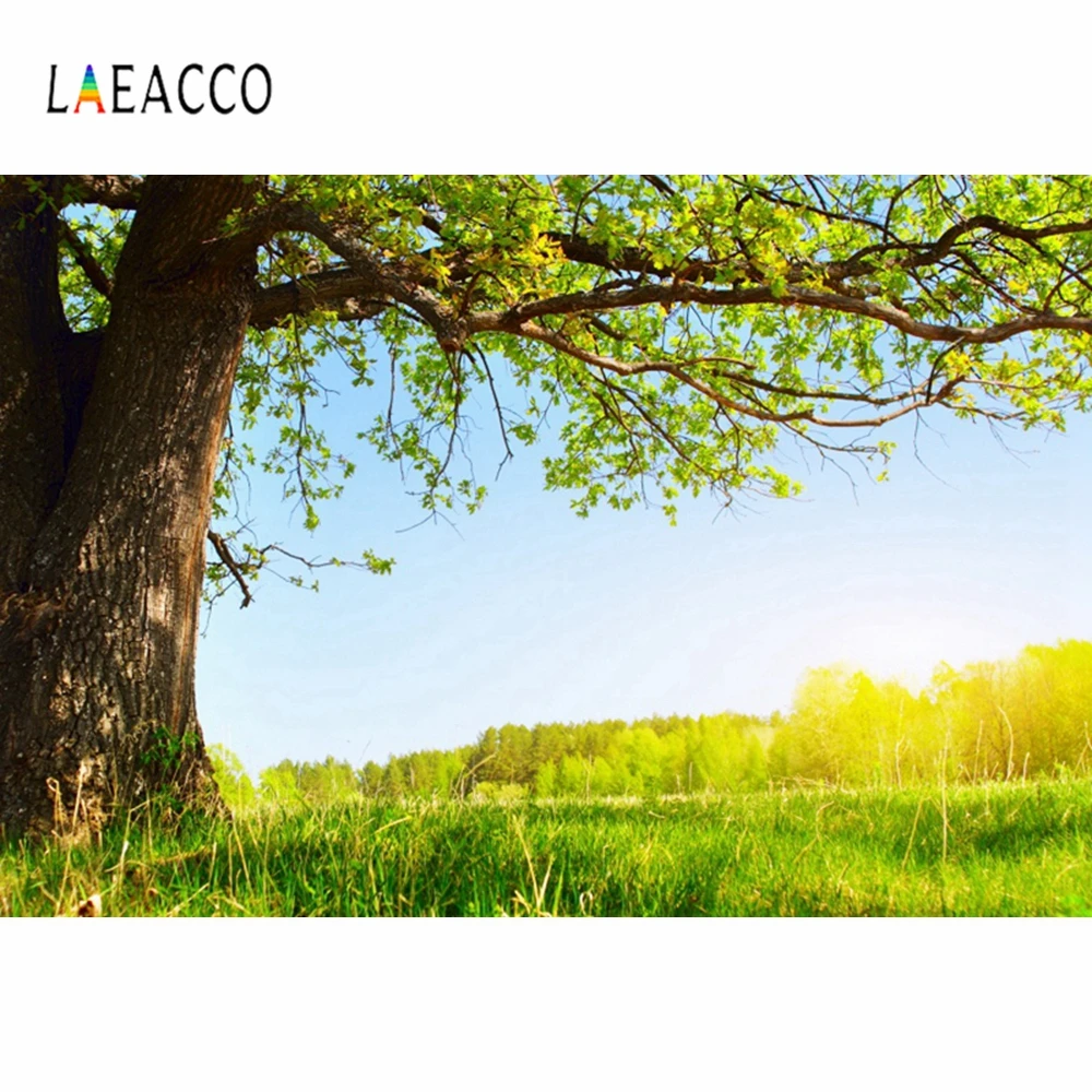 Laeacco Spring Green Tree Lawn Photography Backgrounds Customized Seamless Photographic Backdrops For Photo Studio
Laeacco Spring Green Tree Lawn Photography Backgrounds Customized Seamless Photographic Backdrops For Photo Studio