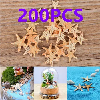200Pcs/Set Cute Mini Starfish Sea Star Shell Beach Fairy Garden Figurines Miniatures Home Micro Miniatures Accessories Decor
200Pcs/Set Cute Mini Starfish Sea Star Shell Beach Fairy Garden Figurines Miniatures Home Micro Miniatures Accessories Decor