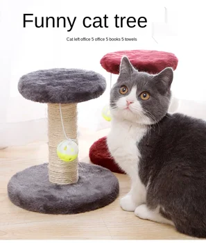 Cat Toy Cat Scratching PlatformCat Climbing Frame Cat Kitten Jumping Platform With Cat Scratching Post
Cat Toy Cat Scratching PlatformCat Climbing Frame Cat Kitten Jumping Platform With Cat Scratching Post