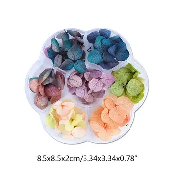 Dried Flowers DIY Epoxy Resin Handmade Crafts Filling Materials AXYD
Dried Flowers DIY Epoxy Resin Handmade Crafts Filling Materials AXYD