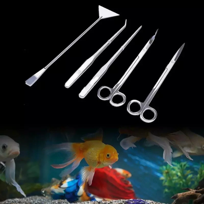 Stainless Steel Straight Curved Tweezer Scissor Algae Scraper Aquarium Maintenance Cleaning Tools Aquatic Landscape tools
Stainless Steel Straight Curved Tweezer Scissor Algae Scraper Aquarium Maintenance Cleaning Tools Aquatic Landscape tools