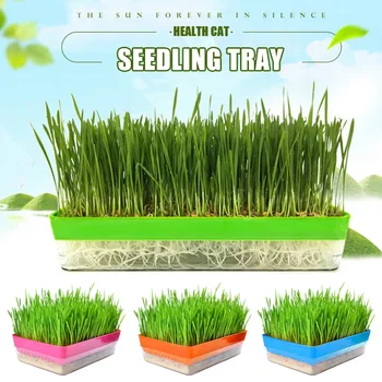 Seedling Tray Bud Sprouts Nursery Pots Grass Implant Tray Double-layer Soilless Culture Dish BJStore
Seedling Tray Bud Sprouts Nursery Pots Grass Implant Tray Double-layer Soilless Culture Dish BJStore