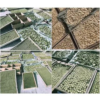 Natural Rabbit Hamster Grass Chew Sticks Pet Food Toy Natural Snack For Rabbit Hamsters Chinchillas Squirrel Q1JA
Natural Rabbit Hamster Grass Chew Sticks Pet Food Toy Natural Snack For Rabbit Hamsters Chinchillas Squirrel Q1JA