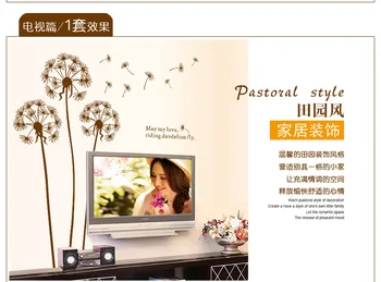 Wall Stickers Decorative Wall Stickers 695 Decorative Stickers
Wall Stickers Decorative Wall Stickers 695 Decorative Stickers