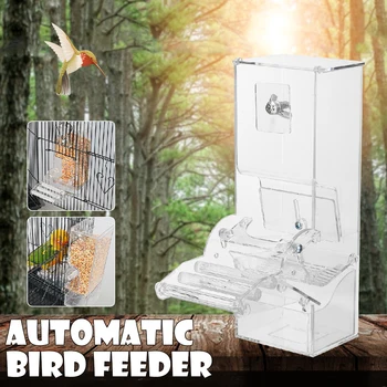 Automatic Bird Feeder Transparent Pet Food Station Pigeons Parrot Pet Birds Feeding Devices Cage Accessories 400g Capacity
Automatic Bird Feeder Transparent Pet Food Station Pigeons Parrot Pet Birds Feeding Devices Cage Accessories 400g Capacity