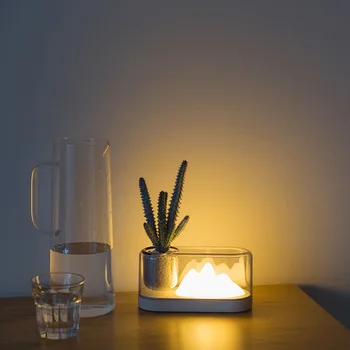 Multifunctional Flowerpot Night Light Table Lamp LED Creative Usb Bedside Room Decoration Potted Atmosphere Christmas Day Gifts
Multifunctional Flowerpot Night Light Table Lamp LED Creative Usb Bedside Room Decoration Potted Atmosphere Christmas Day Gifts