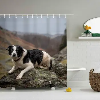 Border Collie Dogs Shower Curtain Water Repellent, Everyday Shower Curtain Liner
Border Collie Dogs Shower Curtain Water Repellent, Everyday Shower Curtain Liner