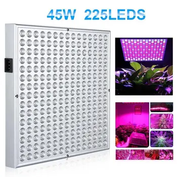 Grow Light Panel High Brightness Energy Saving Eco-Friendly Plant Lamp Led Grow Light Plants Growth Light Vegetables
Grow Light Panel High Brightness Energy Saving Eco-Friendly Plant Lamp Led Grow Light Plants Growth Light Vegetables