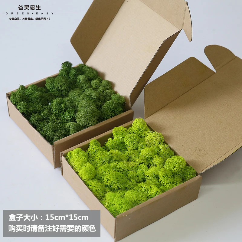 Diy simulation plant moss decorative materials decorative potted mini garden miniature landscape multicolor material package
Diy simulation plant moss decorative materials decorative potted mini garden miniature landscape multicolor material package