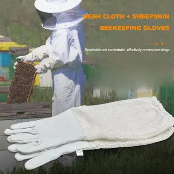 Beekeeping Special Gloves Beekeeping Gloves Anti-bee Anti-stinging Anti-stab and Anti-cut Sheepskin Mesh Protective Gloves
Beekeeping Special Gloves Beekeeping Gloves Anti-bee Anti-stinging Anti-stab and Anti-cut Sheepskin Mesh Protective Gloves