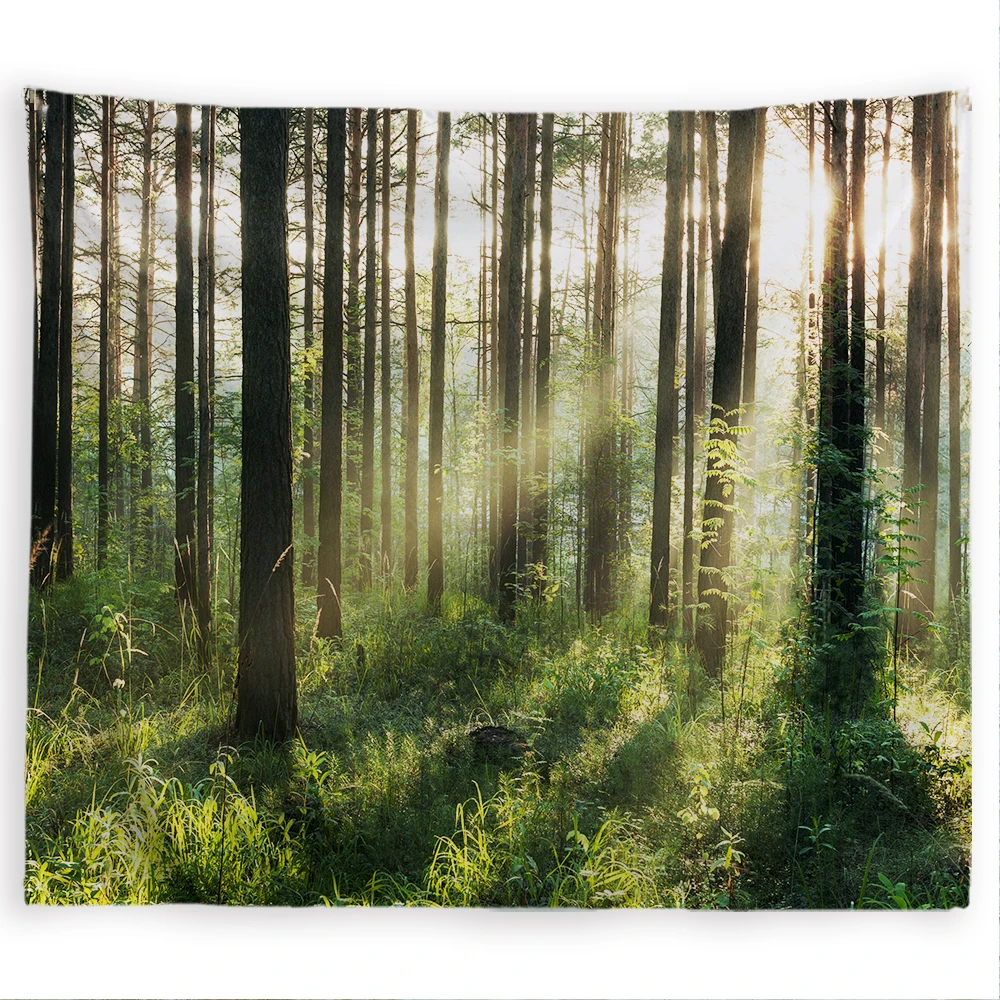 

PROCIDA Large Scenery Tapestry Wall Hanging Nature Art Polyester Fabric Forest Theme, Wall Decor for Dorm, Bedroom,Nail included