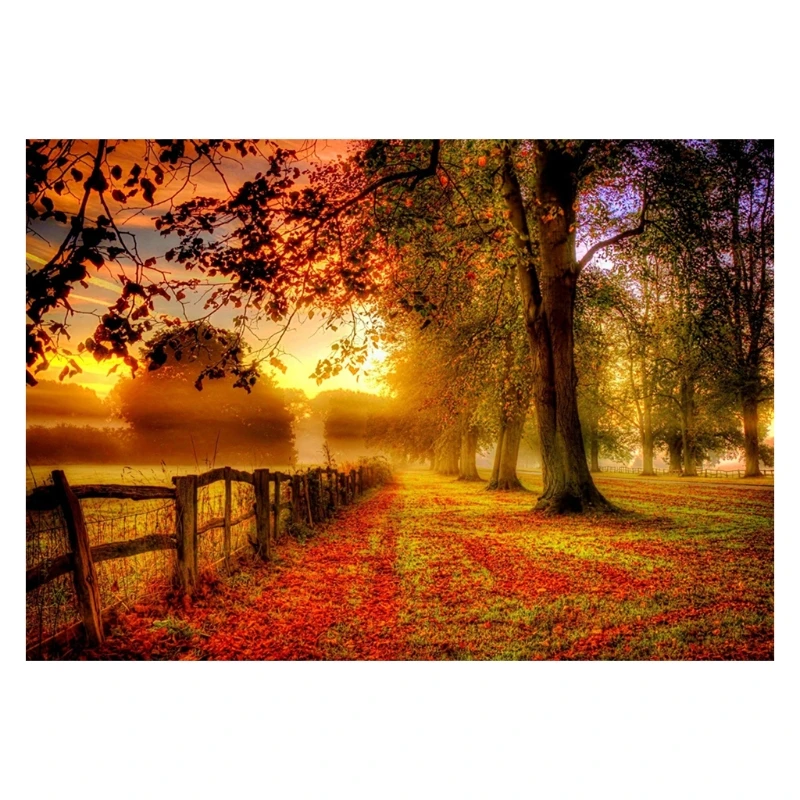 5D Diamond Painting Kit for Adult Full Drill Paint with Diamonds Pictures Arts Craft for Home Decor Autumn Scenery
5D Diamond Painting Kit for Adult Full Drill Paint with Diamonds Pictures Arts Craft for Home Decor Autumn Scenery
