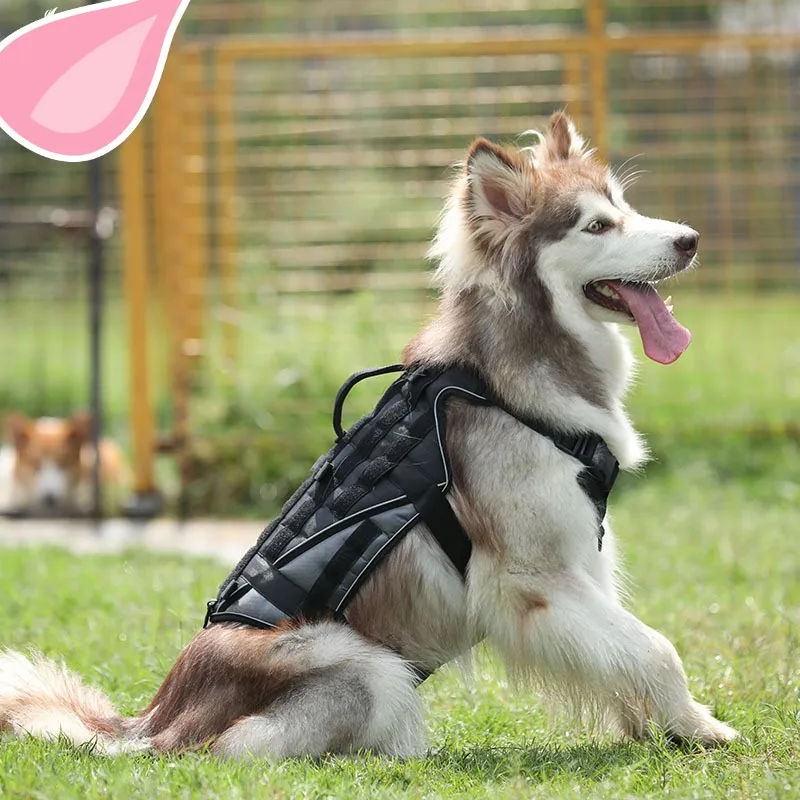 Explosive Medium and Large Military Dog Working Dog Tactical Chest Harness Pet clothes forMilitary Training and Patrol
Explosive Medium and Large Military Dog Working Dog Tactical Chest Harness Pet clothes forMilitary Training and Patrol