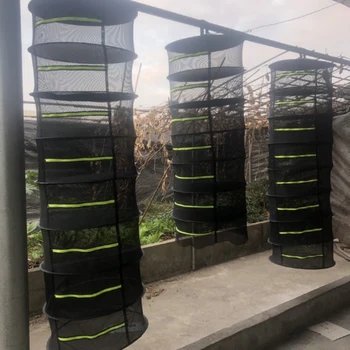 8Layer Hanging Basket Zippered Folding Herb Drying Net Rack Detachable Drying Rack Plant Flower Herbal Dry Basket Container 
8Layer Hanging Basket Zippered Folding Herb Drying Net Rack Detachable Drying Rack Plant Flower Herbal Dry Basket Container