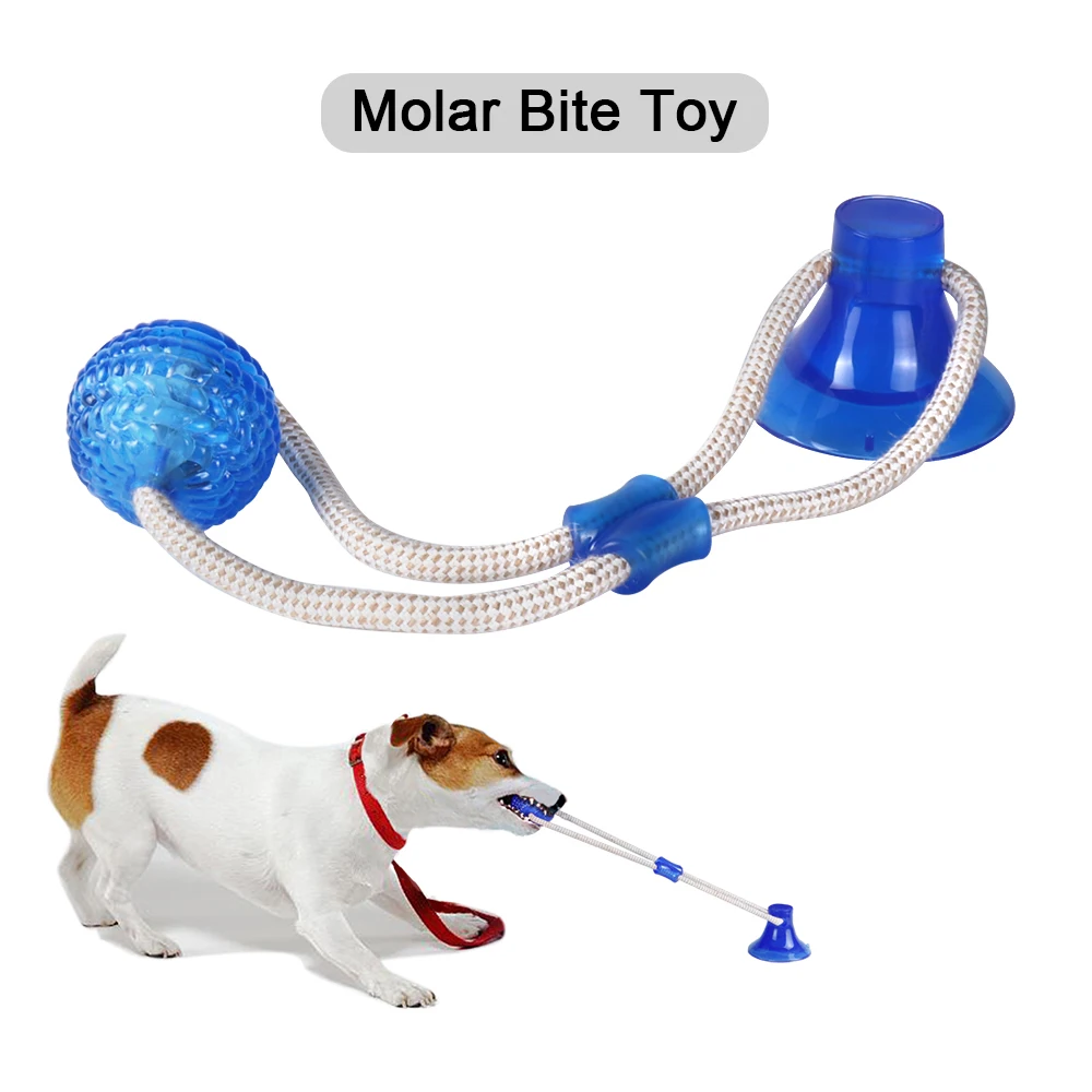 Sindax suction dog toy Dog Toothbrush Doggy Suction Cup Push Ropeball TugToy TPR ball For Pet Dog Tooth Cleaning
Sindax suction dog toy Dog Toothbrush Doggy Suction Cup Push Ropeball TugToy TPR ball For Pet Dog Tooth Cleaning