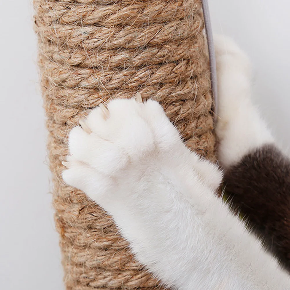 Cat Kitten Scratch Mat Board Furniture Protect Pad Sisal Scratcher Tall Cat Scratching Post Cat Interactive Toys Cat Supplies
Cat Kitten Scratch Mat Board Furniture Protect Pad Sisal Scratcher Tall Cat Scratching Post Cat Interactive Toys Cat Supplies