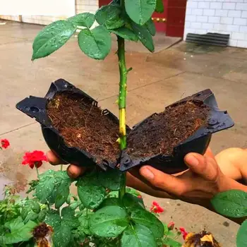 Plant Rooting Ball High Pressure Propagation Transmission Ball Case Growing Box Plant Rooting Device Botany Root Controller
Plant Rooting Ball High Pressure Propagation Transmission Ball Case Growing Box Plant Rooting Device Botany Root Controller