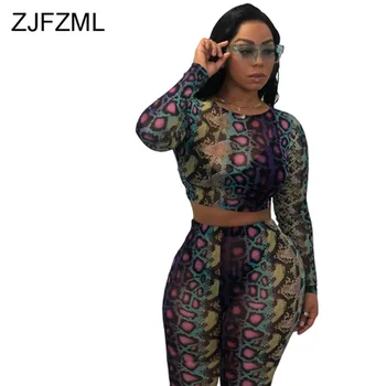 Snake Print Sexy Two Piece Set Sweat Suits Women O-Neck Long Sleeve Crop T Shirt and High Waist Skinny Trousers Club Outfits 
Snake Print Sexy Two Piece Set Sweat Suits Women O-Neck Long Sleeve Crop T Shirt and High Waist Skinny Trousers Club Outfits