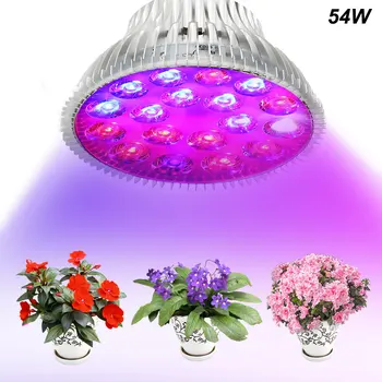 Lamps Led Full Spectrum Grow Light Led Bulbs Seedling Plant Growing Lamp For Greenhouse LED Plant Grow Light Bulb Flower Seeds
Lamps Led Full Spectrum Grow Light Led Bulbs Seedling Plant Growing Lamp For Greenhouse LED Plant Grow Light Bulb Flower Seeds