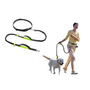 Retractable Hands Free Dog Leash For Running Dual Handle Bungee Leash Reflective For Large Dogs Free Bag Dispenser DGSB20 
Retractable Hands Free Dog Leash For Running Dual Handle Bungee Leash Reflective For Large Dogs Free Bag Dispenser DGSB20
