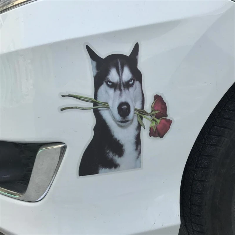 2020 Universal Funny Animal Auto Car Sticker Husky Car Sticker Creative Personality Stickers For Car Decoration Accessories
2020 Universal Funny Animal Auto Car Sticker Husky Car Sticker Creative Personality Stickers For Car Decoration Accessories