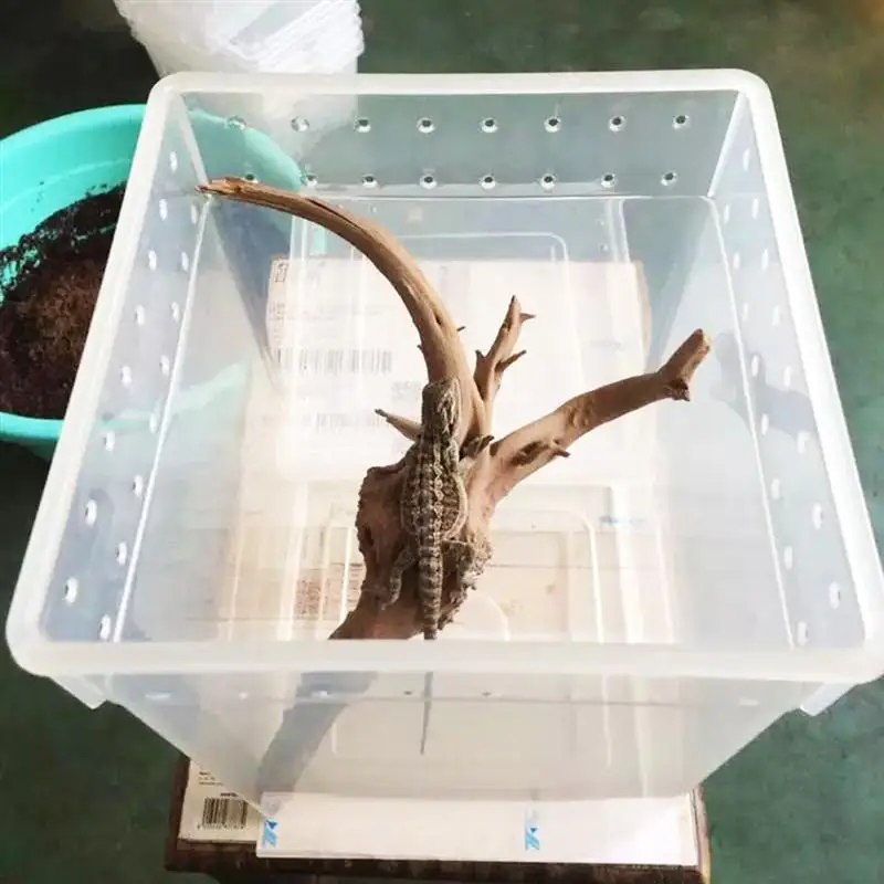 Transparent Reptile Breeding Box Climbing Pet Feeding Container Special Breeding Box For Spider Lizard Chameleon Tree Frog
Transparent Reptile Breeding Box Climbing Pet Feeding Container Special Breeding Box For Spider Lizard Chameleon Tree Frog