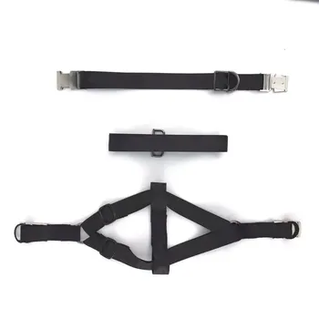 Adjustable Collar Leash Harness Set Small Medium Large Dogs Pet Dog French Bulldog Husky Leading Accessories Dropshipping YBL05
Adjustable Collar Leash Harness Set Small Medium Large Dogs Pet Dog French Bulldog Husky Leading Accessories Dropshipping YBL05