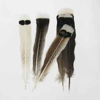 15-30cm Pheasant Feather Natural Chicken Feathers for Crafts Costumes Diy Sewing Jewelry Accessories Plume Decoration
15-30cm Pheasant Feather Natural Chicken Feathers for Crafts Costumes Diy Sewing Jewelry Accessories Plume Decoration
