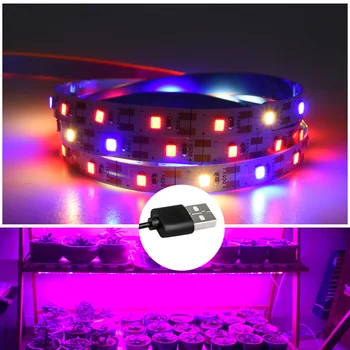 Phyto Lamp LED Strip Light 0.5m 1m 2m USB Charging Full Spectrum Growing Light 2835 led Ribbon For Plants Flowers on Windowsill/
Phyto Lamp LED Strip Light 0.5m 1m 2m USB Charging Full Spectrum Growing Light 2835 led Ribbon For Plants Flowers on Windowsill/