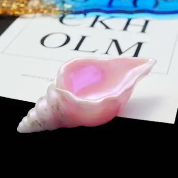 Epoxy Conch Molds Silicone Resin Molds Mirror Stereoscopic Shell Storage Mold DIY Home decor molds
Epoxy Conch Molds Silicone Resin Molds Mirror Stereoscopic Shell Storage Mold DIY Home decor molds