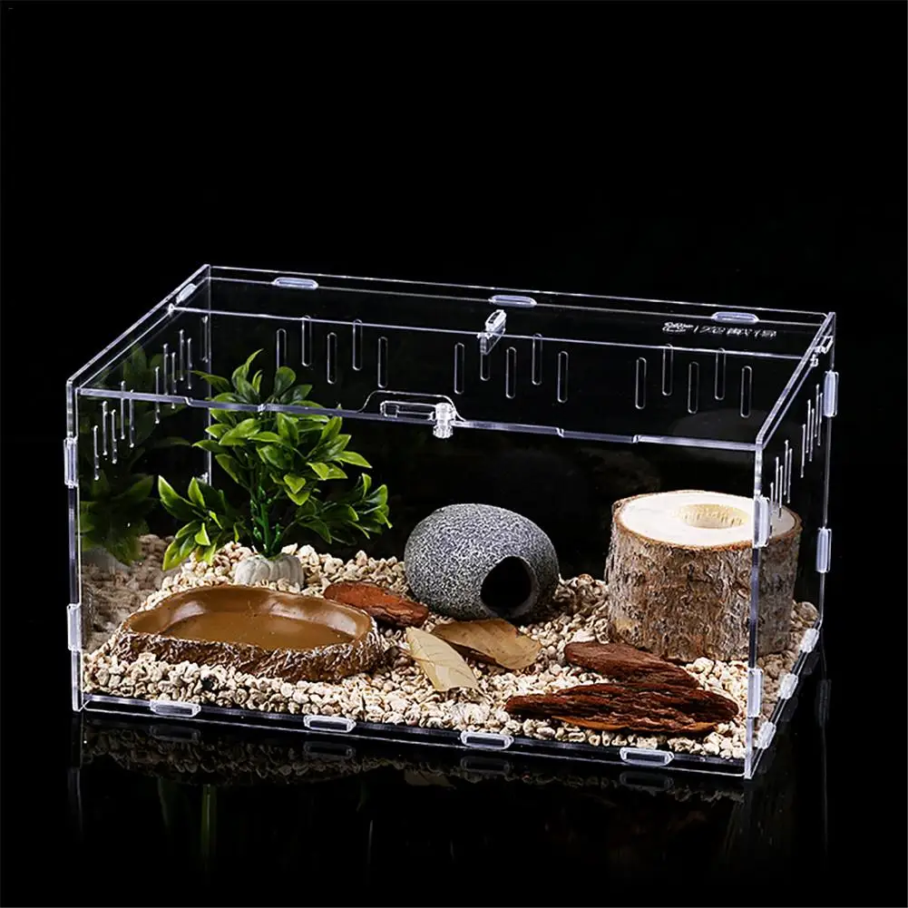 Acrylic Terrarium Spider Breeding Box Reptile Feeding Box For Climbing Pet Terrarium Snake Spider Lizard Scorpion Centipede
Acrylic Terrarium Spider Breeding Box Reptile Feeding Box For Climbing Pet Terrarium Snake Spider Lizard Scorpion Centipede