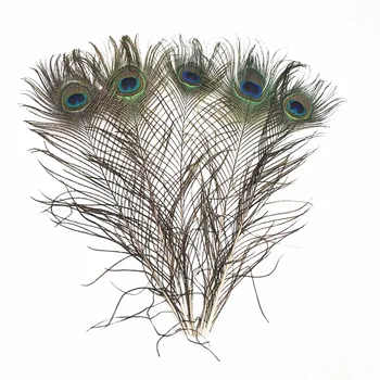 High quality natural peacock feathers 50-200Pcs/lot 40-45CM diy needlework feathers for crafts jewelry Decoration fittings pluma
High quality natural peacock feathers 50-200Pcs/lot 40-45CM diy needlework feathers for crafts jewelry Decoration fittings pluma