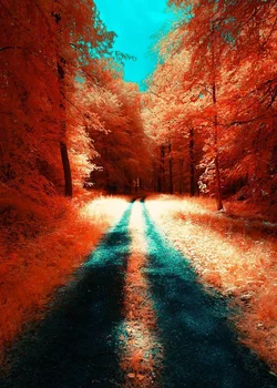 Full square wall stickers Cuadros Diamand art diamant 5D diamond painting kit set painting paintings tools landscape road tree
Full square wall stickers Cuadros Diamand art diamant 5D diamond painting kit set painting paintings tools landscape road tree