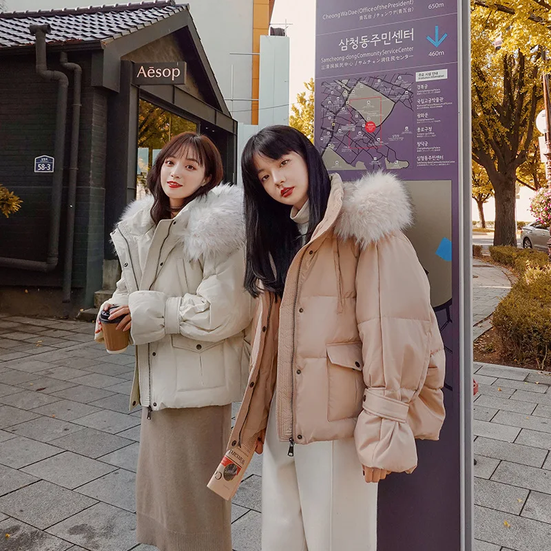 Photo Shoot Short Two-color Hooded Zipper 2019 Winter New Style Korean-style Short-height Cool Back of Turtle Cotton Overcoat Wo
Photo Shoot Short Two-color Hooded Zipper 2019 Winter New Style Korean-style Short-height Cool Back of Turtle Cotton Overcoat Wo