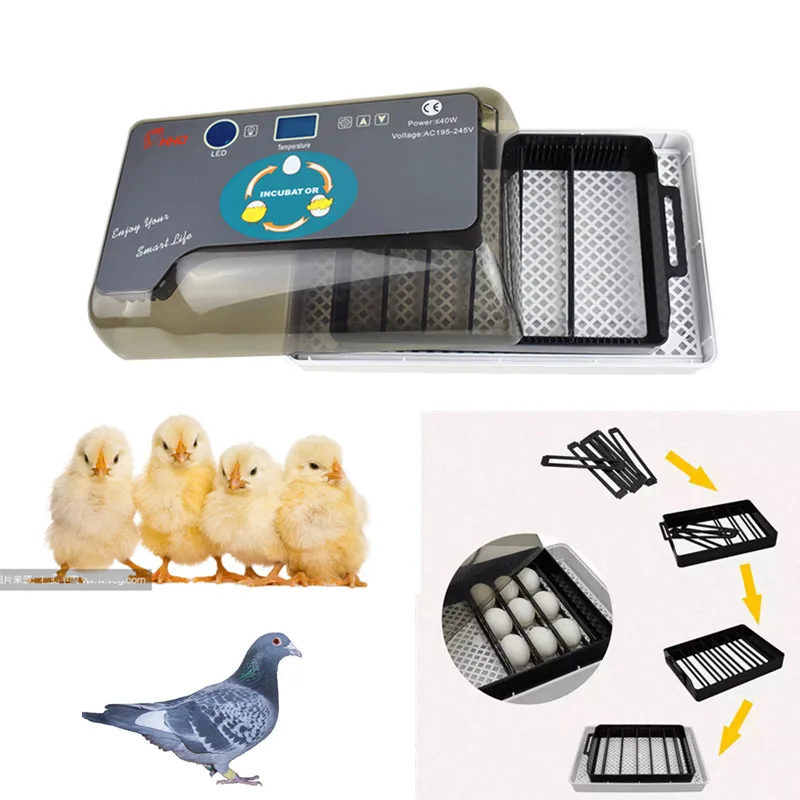 Farm Hatchery Incubator Brooder Machine 4-35 Egg Hatchers Cheap Price Chicken Automatic Eggs Incubator pigeon Bird Quail Brooder
Farm Hatchery Incubator Brooder Machine 4-35 Egg Hatchers Cheap Price Chicken Automatic Eggs Incubator pigeon Bird Quail Brooder