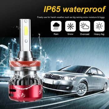 Mini NAUXITO H1/H4/H7/H11/9005/9006 LED Car Headlight Bulbs Mini Sized Car Accessories 6000K White Led DOB LED Chips
Mini NAUXITO H1/H4/H7/H11/9005/9006 LED Car Headlight Bulbs Mini Sized Car Accessories 6000K White Led DOB LED Chips