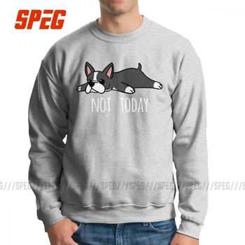 Men's Funny Not Today Boston Terrier Dog Hoodies Casual Sweatshirt 100% Organic Cotton Unique Pullovers Tops
Men's Funny Not Today Boston Terrier Dog Hoodies Casual Sweatshirt 100% Organic Cotton Unique Pullovers Tops
