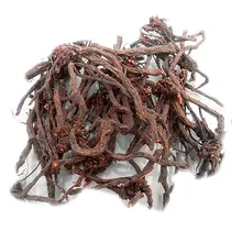 Salvia Chinensis,Zi Shen,Rhizoma Bistortae,Xiao Hong Yao 
Salvia Chinensis,Zi Shen,Rhizoma Bistortae,Xiao Hong Yao