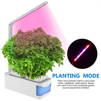 Smart Garden LED Light Tool Indoor Herb Hydroponics Grow Light Plants Lamp EU Plug LED Grow Light Desk Reading Night Light
Smart Garden LED Light Tool Indoor Herb Hydroponics Grow Light Plants Lamp EU Plug LED Grow Light Desk Reading Night Light