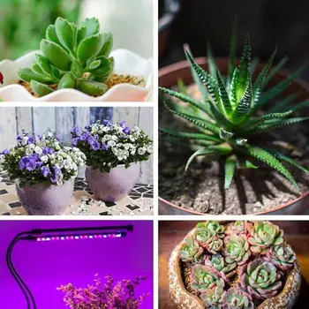 Plants Growth Light Plant Lamp Led Grow Light Energy Saving Eco-Friendly High Brightness Timing Dual Head USB Indoor Flower
Plants Growth Light Plant Lamp Led Grow Light Energy Saving Eco-Friendly High Brightness Timing Dual Head USB Indoor Flower