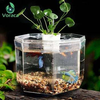 Four-block Betta Isolation Box Fish Tank Desktop Clear Fishes Bowl with Water Pump Pumping Pipe Plant Basket Decoration Tank Box
Four-block Betta Isolation Box Fish Tank Desktop Clear Fishes Bowl with Water Pump Pumping Pipe Plant Basket Decoration Tank Box