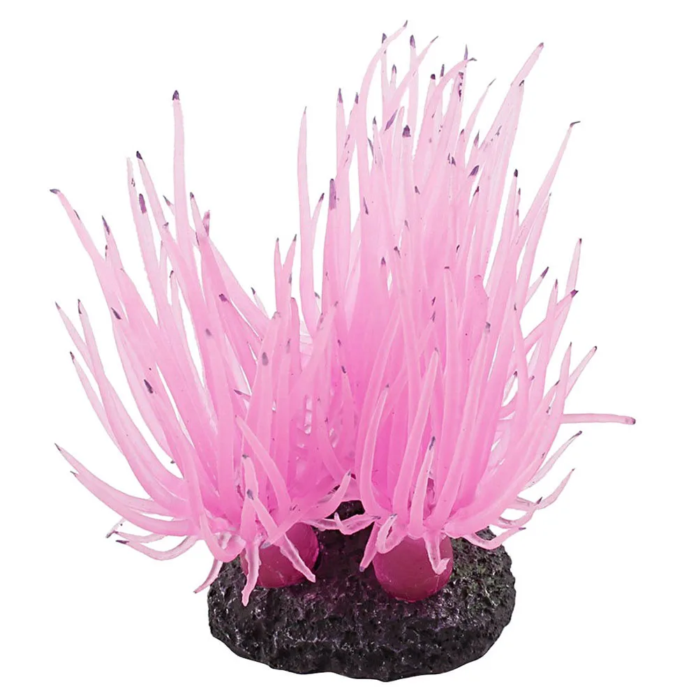 Aquarium Silicone Simulation Artificial Fish Tank Fake Coral Plant Underwater Aquatic Sea Anemone Ornament Decoration Accessory
Aquarium Silicone Simulation Artificial Fish Tank Fake Coral Plant Underwater Aquatic Sea Anemone Ornament Decoration Accessory