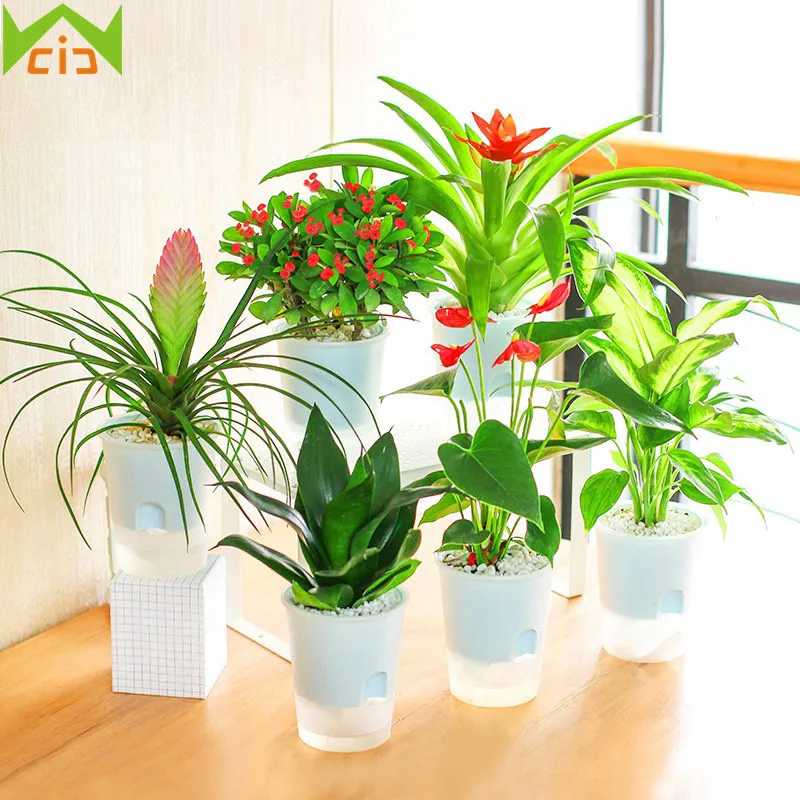 1PC Large Plastic Hydroponic Flower Pot Automatic Watering Flowerpot Garden Bonsai Planter Succulent Nursery Pot Home Decor
1PC Large Plastic Hydroponic Flower Pot Automatic Watering Flowerpot Garden Bonsai Planter Succulent Nursery Pot Home Decor