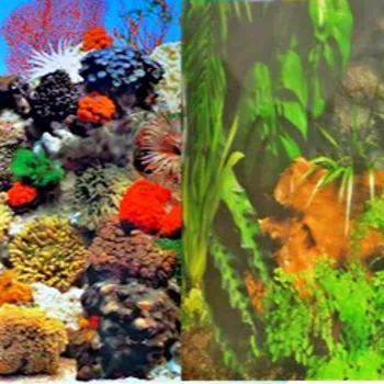 HEIGHT 30-100CM Aquarium Fish Tank Decoration WATERPROOF Background Wallpaper Sticker Aquatic Ornament Non-self-adhesive
HEIGHT 30-100CM Aquarium Fish Tank Decoration WATERPROOF Background Wallpaper Sticker Aquatic Ornament Non-self-adhesive