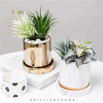 B-LIFE Mini Plant Pot Bonsai with Europen Style Design for Flowers Or Bonsai Ceramic Artificial Plants Decoration for Desktop
B-LIFE Mini Plant Pot Bonsai with Europen Style Design for Flowers Or Bonsai Ceramic Artificial Plants Decoration for Desktop