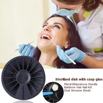 Gutta Percha Point Disinfection Disc Excellent Craftsmanship Well Durability Dentist Oral Teeth Sterilize Instrument