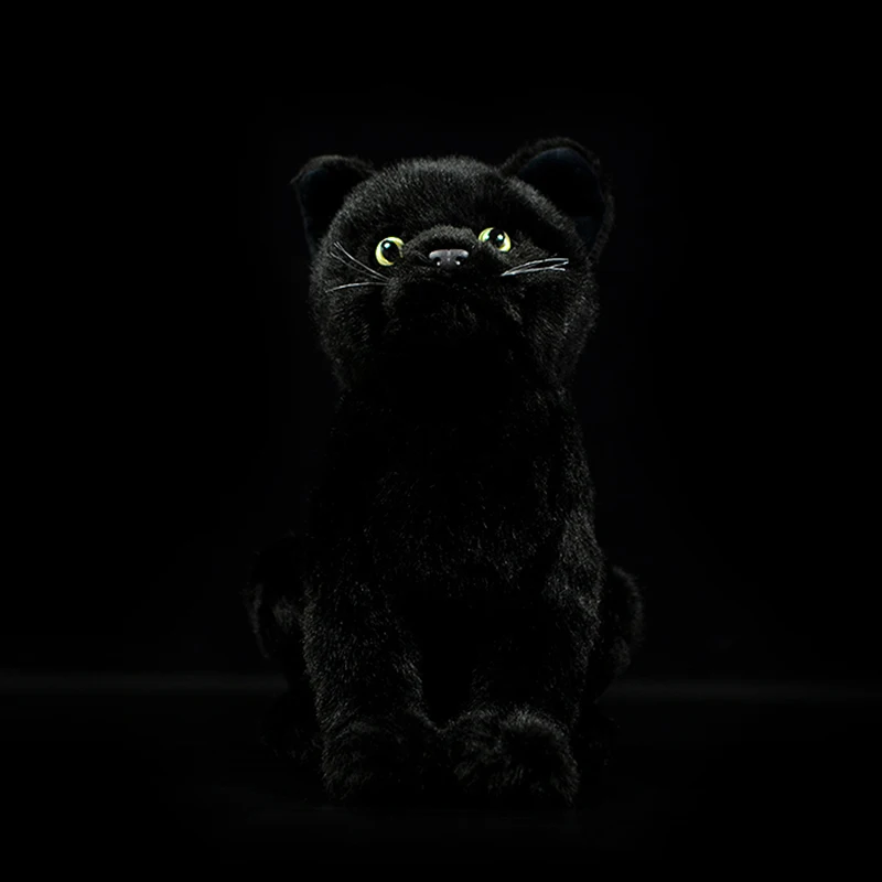 

Real Life Black Cat Stuffed Plush Toy Kids Gift Cute Felis Catu Model Soft Bombay Lifelike Simulation Animal Child Doll Original