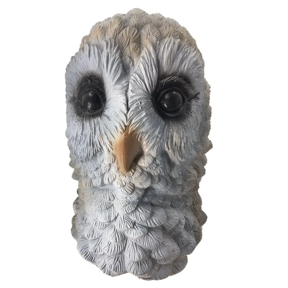 Latex Mask Bird Face Eaglet Halloween Costume Owl Hawk Animal Mask Masquerade Party Cosplay Realistic Props
Latex Mask Bird Face Eaglet Halloween Costume Owl Hawk Animal Mask Masquerade Party Cosplay Realistic Props