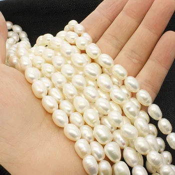 Natural Freshwater Pearl Beads AGrade -AAA Grade 8-9mm 9-10mm 3 Colors Rice Shape Pearl Loose Beads DIY for Necklace Bracelet
Natural Freshwater Pearl Beads AGrade -AAA Grade 8-9mm 9-10mm 3 Colors Rice Shape Pearl Loose Beads DIY for Necklace Bracelet