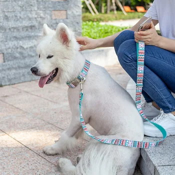 1Pcs Bohemian Style Dog Collar Leash Multiple-Use Long Polyester Training Lead Leash for Pet Dog Puppy Size XS
1Pcs Bohemian Style Dog Collar Leash Multiple-Use Long Polyester Training Lead Leash for Pet Dog Puppy Size XS